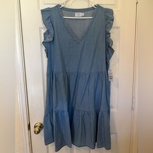 Time and Tru chambray dress